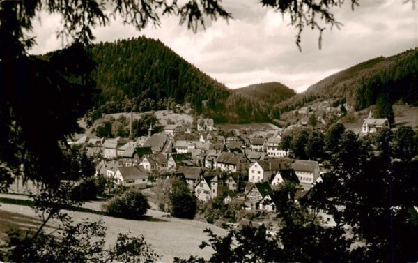 Bad Teinach-Zavelstein Panorama