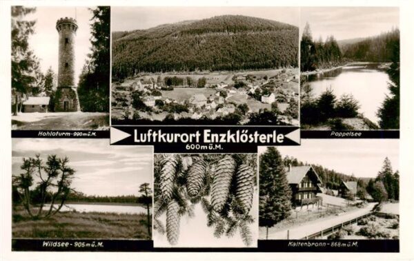 Enzkloesterle Hohaturm Panorama Poppelsee Wildsee Kaltenbronn