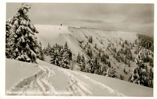 Hornisgrinde Sasbach Winterpanorama