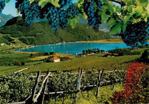 Kalterer See Suedtirol Weinort im ueberetsch Seepartie