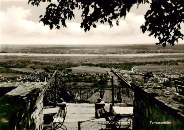 Frauenstein  Wiesbaden Terrassenblick