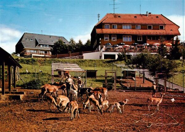 Haeusern Schwarzwald Zumkellers Wildgehege Hotel Cafe Waldlust