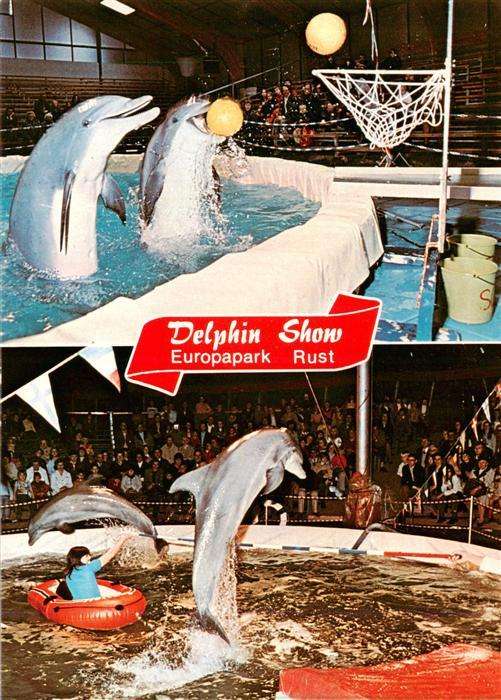 Rust Ortenaukreis Europapark Rust Delphin Show