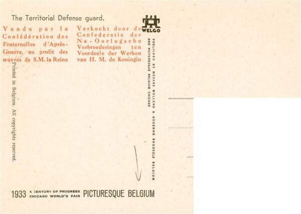 Belgium Belgie Belgien The Territorial Defense guard – Bild 2