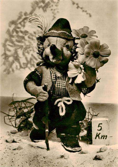 Puppe Doll Poupee Kinderspielzeug Igelkarten Igel mit bluemen