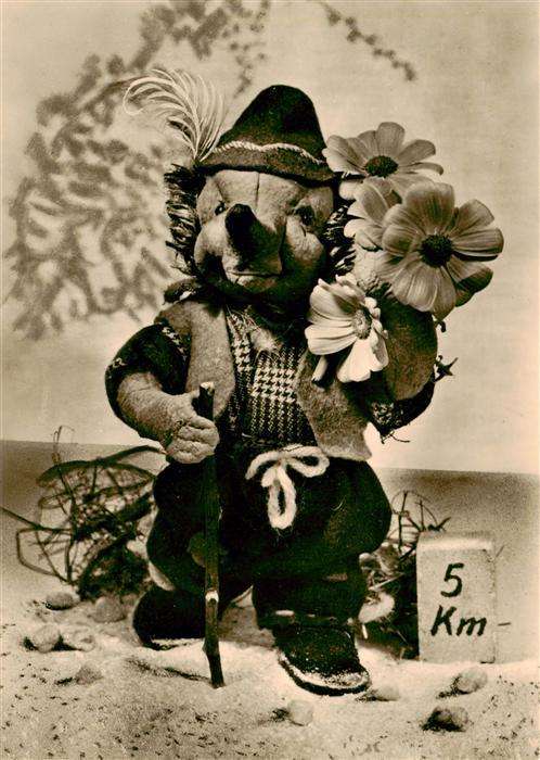 Puppe Doll Poupee Kinderspielzeug Igelkarten-Serie Igel Blumen
