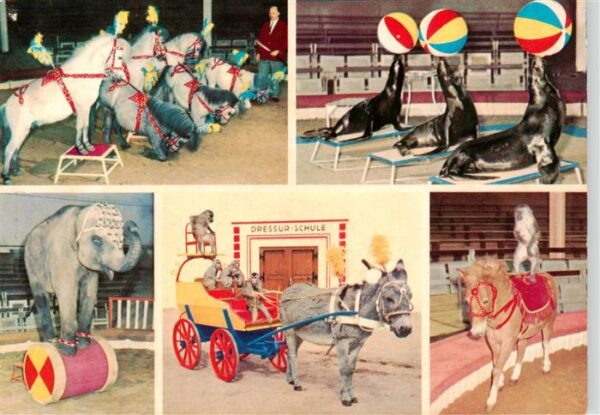 Zirkus Artistik Carl Hagenbecks Tierpark Hamburg-Stellingen