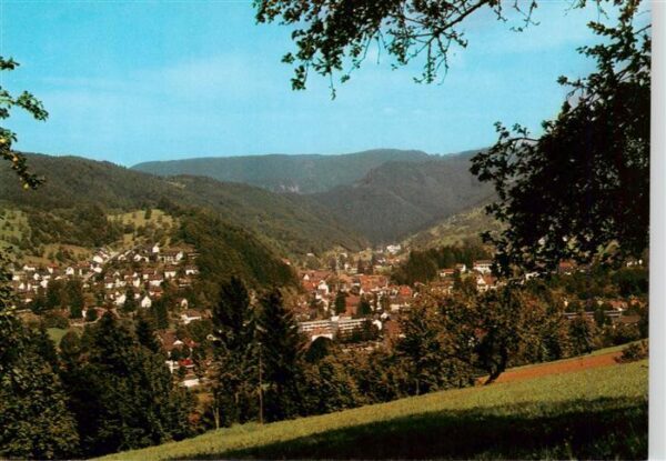 Oppenau Panorama im Renchtal