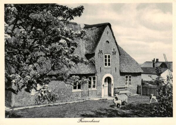 Norddorf Amrum Friesenhaus