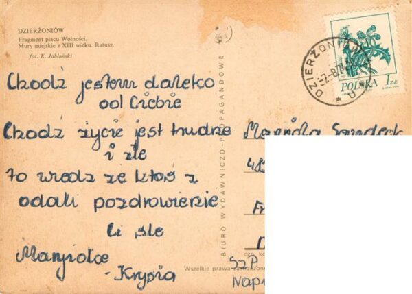 Dzierzoniow Reichenbach Niederschlesien PL Fragment placu Wolnoki Mury miejskie – Bild 2