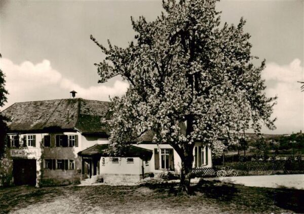 Fischbach Maintaunus Gasthof Pension Gimbacher Hof