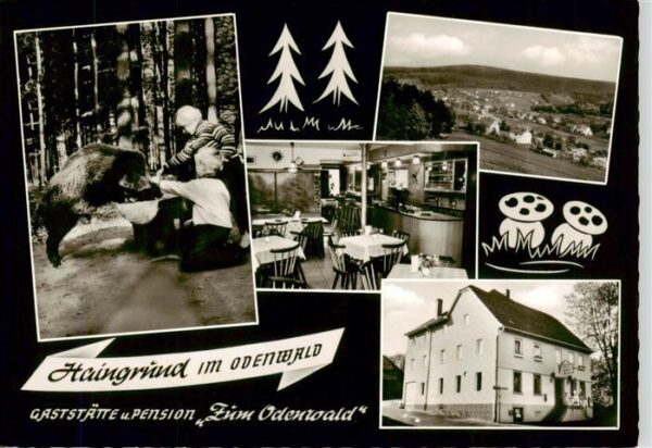 Haingrund Gaststaette Pension Zum Odenwald Gastraum Panorama