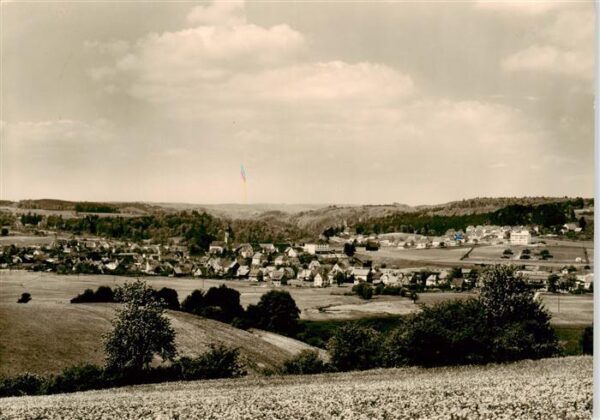 Laiz Sigmaringen Panorama