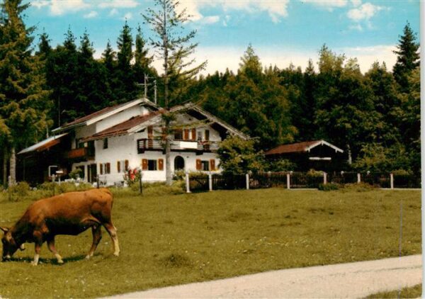 Mittenwald Bayern Gaestehaus Seewinkel