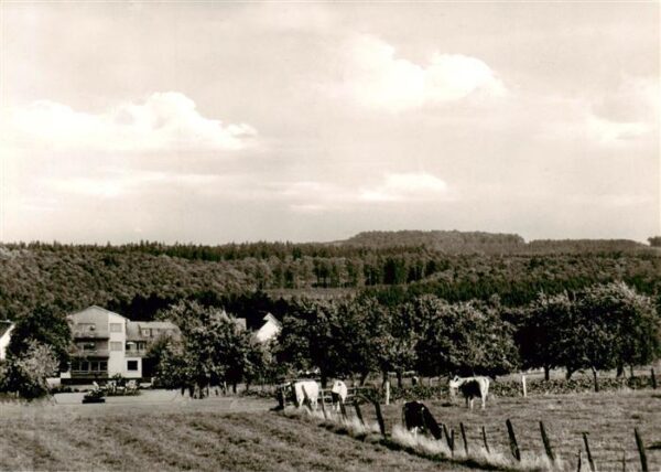Bullau Erbach Odenwald Pension Schumbert Panorama