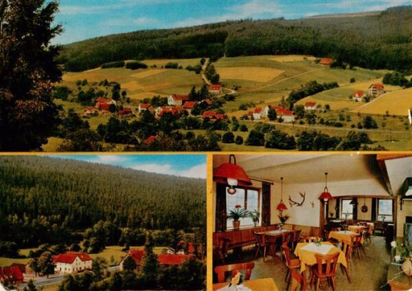 Altenfeld Rhoen Panorama Gasthof an der Fulda Gaststube
