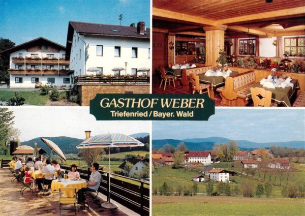 Triefenried Gasthof Weber Pension Gastraum Terrasse Panorama