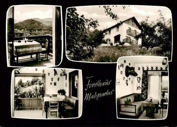Nassau  Bahamas Privat Pension Forsthaus Malepartus