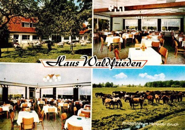 Duelmen Maerchenwald Gasthaus Waldfrieden am Wildpark Gastraeume Wildpferde im M