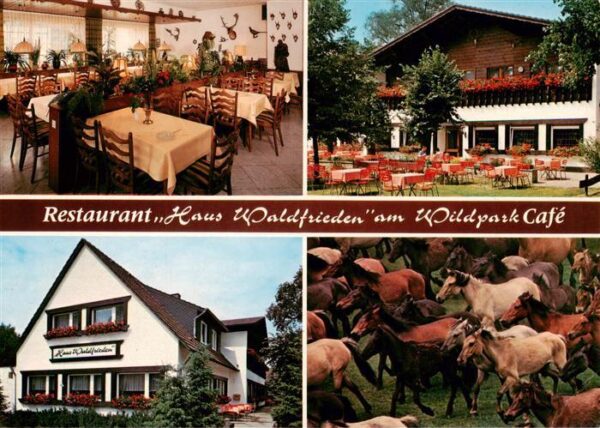 Duelmen Gasthaus Waldfrieden am Wildpark Gastraum Freiterrasse Wildpferde