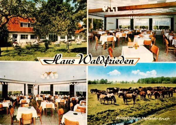 Duelmen Haus Waldfrieden Gastraeume Wildpferde im Merfelder Bruch