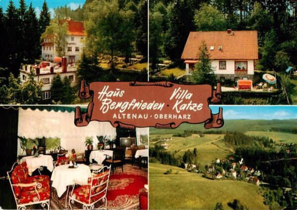 Altenau Harz Haus Bergfrieden Villa Katze Gastraum Panorama