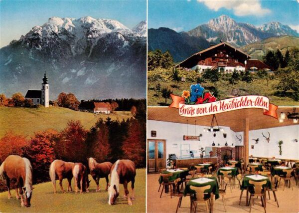 Neubichler Alm Piding Gastraum Pferdeweide Kirche