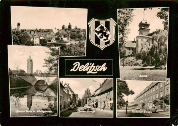 Delitzsch Panorama Breiter Turm mit Wallgraben Schloss Breite Strasse Duebener S