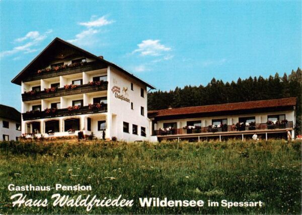 Wildensee Unterfranken Spessart Eschau Gasthaus Pension Haus Waldfrieden