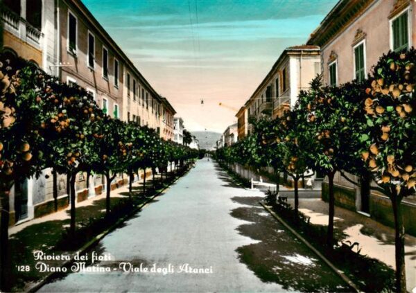 Diano Marina Liguria IT Viale degli Aranei
