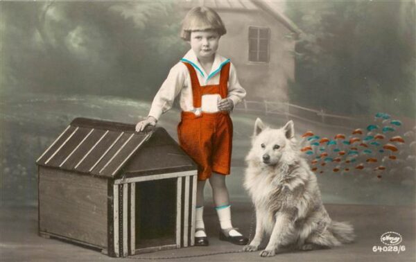 Foto Amag Nr. Nr. 64028/6 Kind Hund