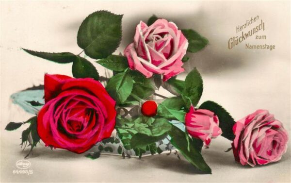 Foto Amag Nr. Nr. 64498/5 Glueckwunsch zum Namentag Rosen