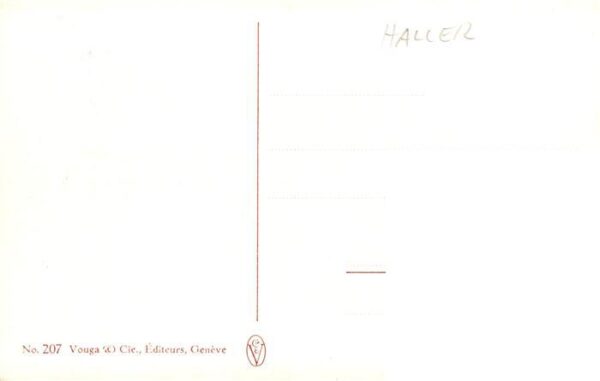 Haller Anna Nr. 207  Gelbe Rosen – Bild 2