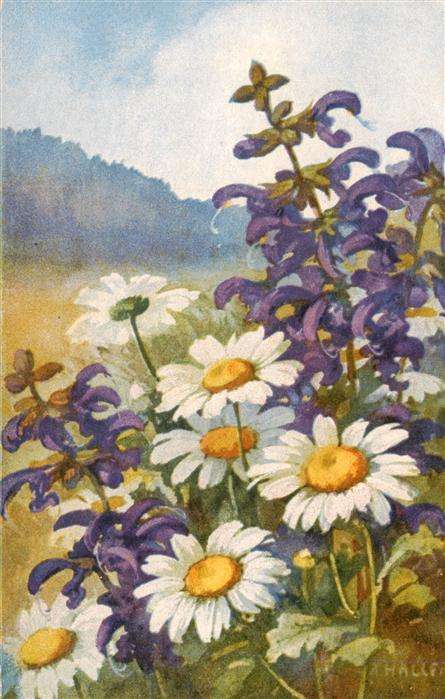 Haller Anna Nr 202 Blumen