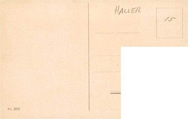 Haller Anna Nr 202 Blumen – Bild 2