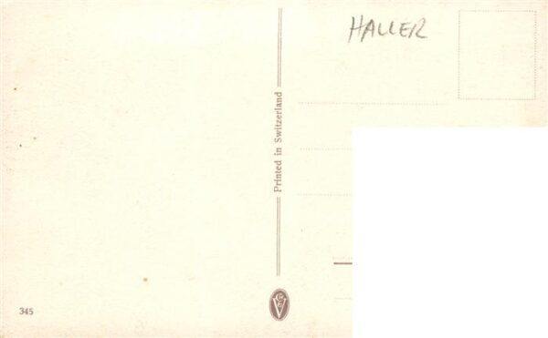 Haller Anna Nr. 345 Loewenzahn Pusteblume – Bild 2
