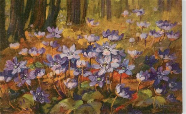 Haller Anna Nr. 318 Wald Blumen