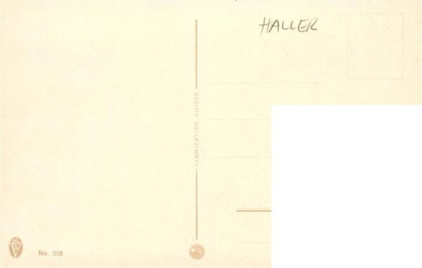 Haller Anna Nr. 318 Wald Blumen – Bild 2