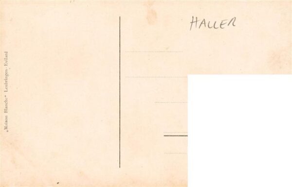 Haller Anna Bluemen – Bild 2