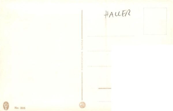 Haller Anna Nr. 305 Bluemen Steine – Bild 2