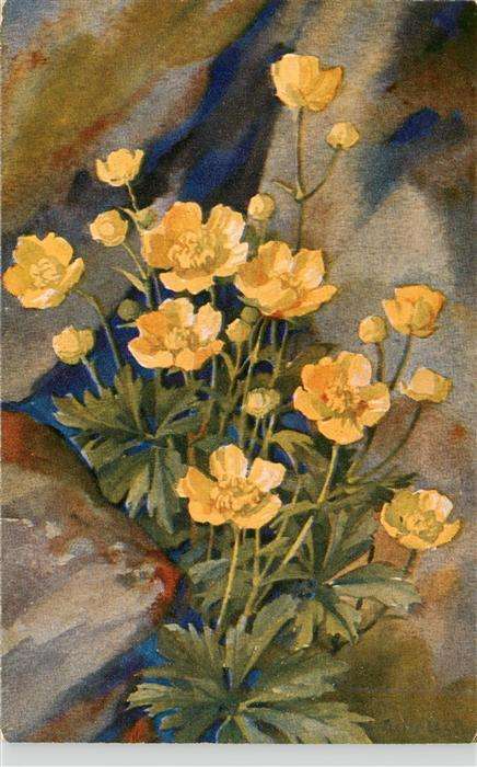 Haller Anna Nr. 277 Gelbe Blumen