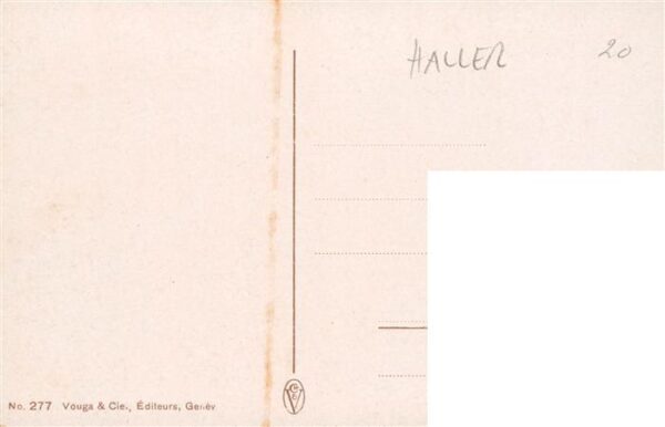 Haller Anna Nr. 277 Gelbe Blumen – Bild 2