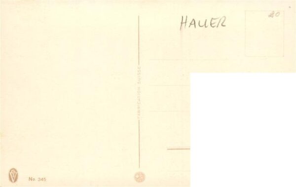 Haller Anna Nr. 345 Loewenzahn Pusteblueme – Bild 2