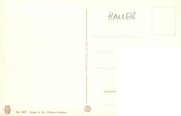 Haller Anna Nr. 307 Blumen im Schnee – Bild 2