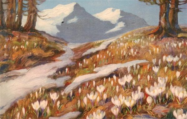 Haller Anna Nr. 341 Waldbluemen Schnee Berge