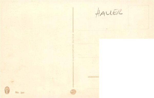 Haller Anna Nr. 341 Waldbluemen Schnee Berge – Bild 2