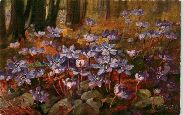 Haller Anna Nr. 318 Blumen Wald
