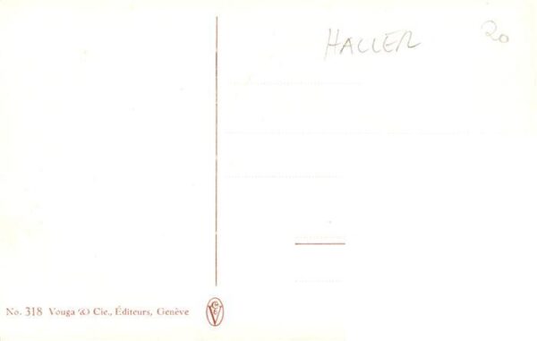 Haller Anna Nr. 318 Blumen Wald – Bild 2