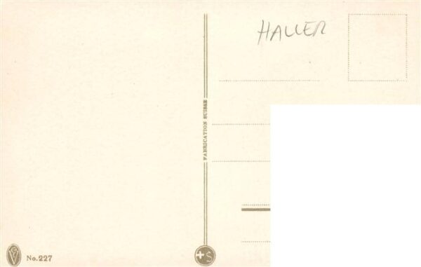 Haller Anna Nr. 227 Vase Bluemen – Bild 2