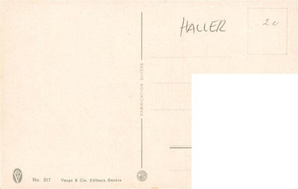 Haller Anna Nr.317 Bluemen – Bild 2